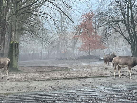 24-12-06 15-28-47 1659